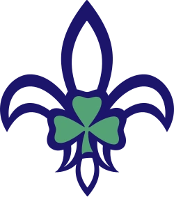Scouting Ireland
