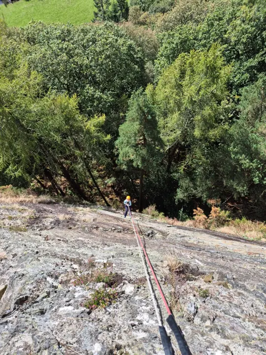 Looking down a rock slab where a person in a helmet abseils on a red rope, with trees below.