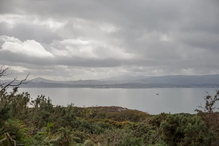 A grey sea bay and distant hills seen through gorse bushes under heavy cloud.