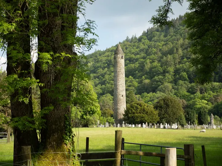 A stone round tower stands among forest-covered hills beyond a grassy field, seen between large trees.