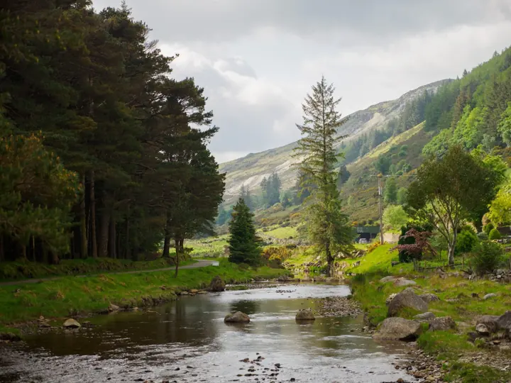 A stream winds through a green valley with pine trees and mountains beyond.