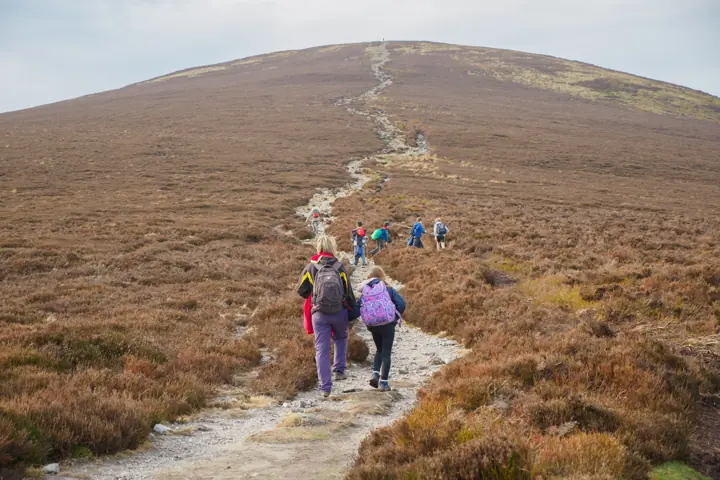 Two walkers with backpacks head down a stony path on a heather-covered hillside, with more walkers ahead.